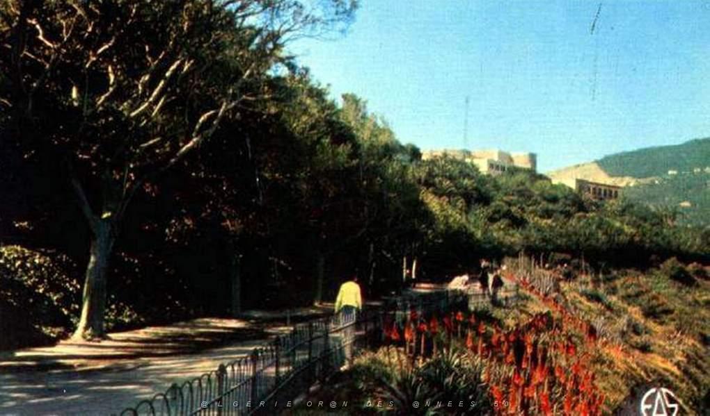 PL b - 030- Promenade de Letang B.jpg